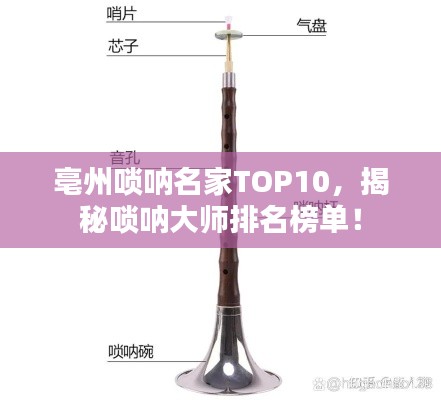 亳州嗩吶名家TOP10,揭秘嗩吶大師排名榜單!