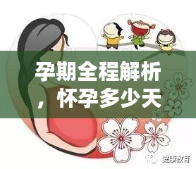 孕期全程解析,懷孕多少天會(huì)分娩?