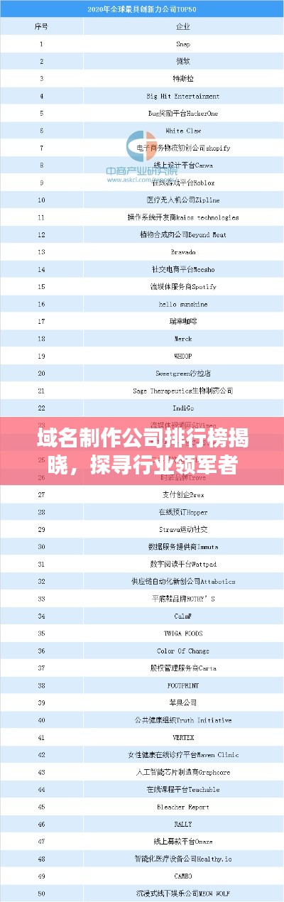 域名制作公司排行榜揭曉,探尋行業領軍者