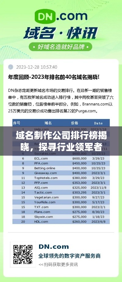 域名制作公司排行榜揭曉,探尋行業領軍者