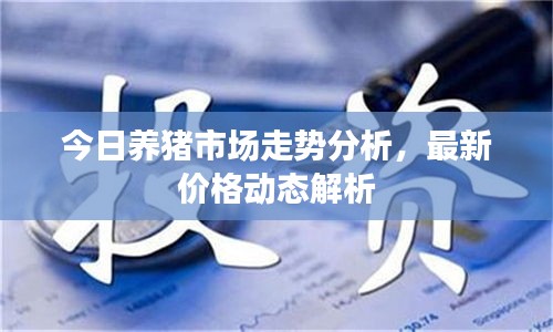 今日養(yǎng)豬市場(chǎng)走勢(shì)分析,最新價(jià)格動(dòng)態(tài)解析