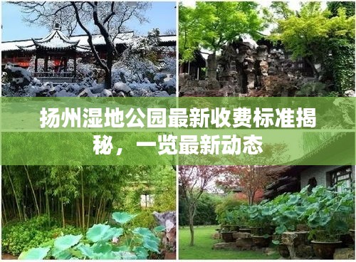 揚(yáng)州濕地公園最新收費(fèi)標(biāo)準(zhǔn)揭秘，一覽最新動(dòng)態(tài)