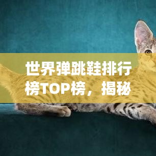 世界彈跳鞋排行榜TOP榜，揭秘彈跳力最強的鞋款！