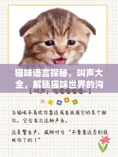 貓咪語言探秘,叫聲大全,解鎖貓咪世界的溝通密碼!