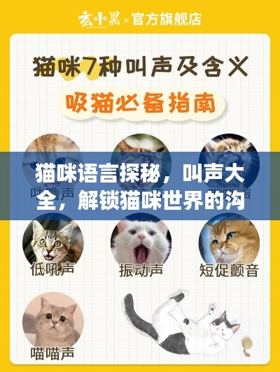 貓咪語言探秘,叫聲大全,解鎖貓咪世界的溝通密碼!