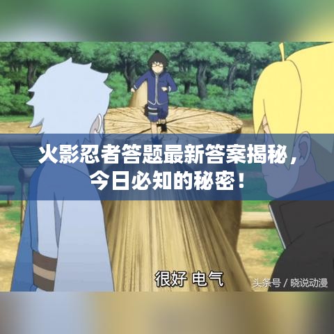 火影忍者答題最新答案揭秘,今日必知的秘密!