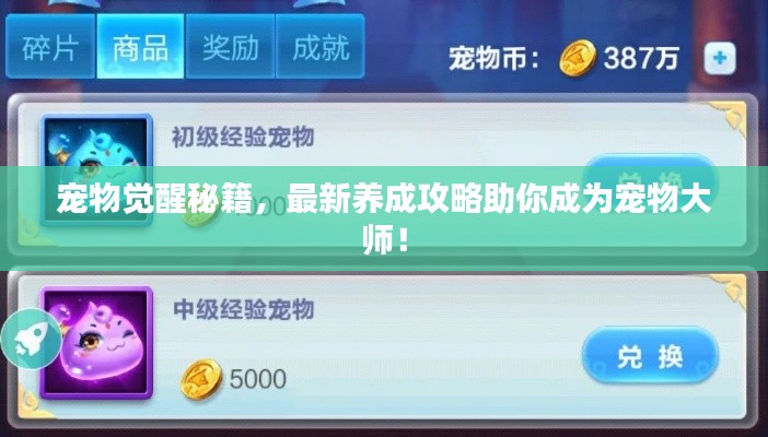 寵物覺醒秘籍,最新養成攻略助你成為寵物大師!