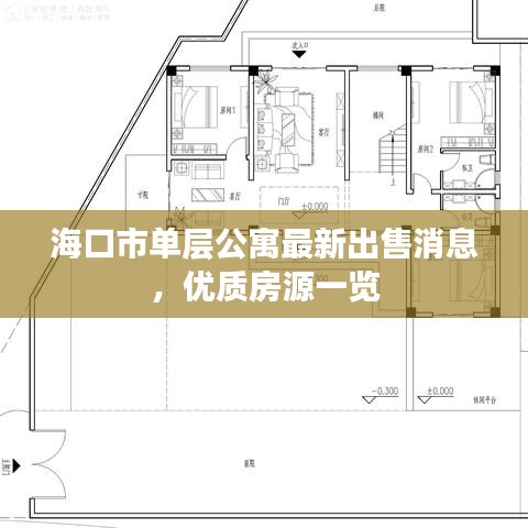 海口市單層公寓最新出售消息,優質房源一覽