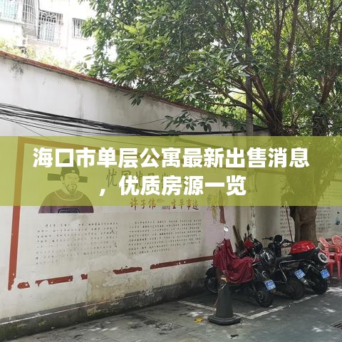 海口市單層公寓最新出售消息,優質房源一覽