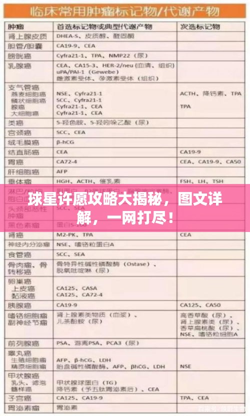 球星許愿攻略大揭秘,圖文詳解,一網打盡!