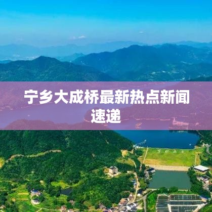 寧鄉大成橋最新熱點新聞速遞