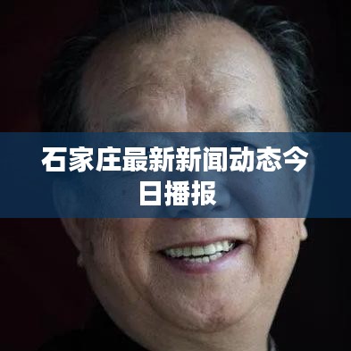 石家莊最新新聞動態今日播報