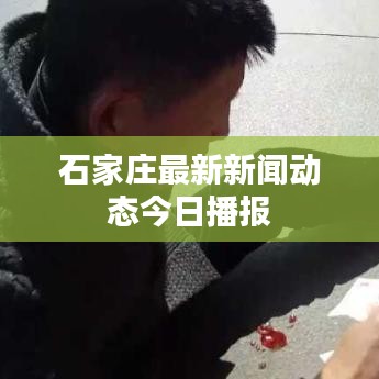 石家莊最新新聞動態今日播報