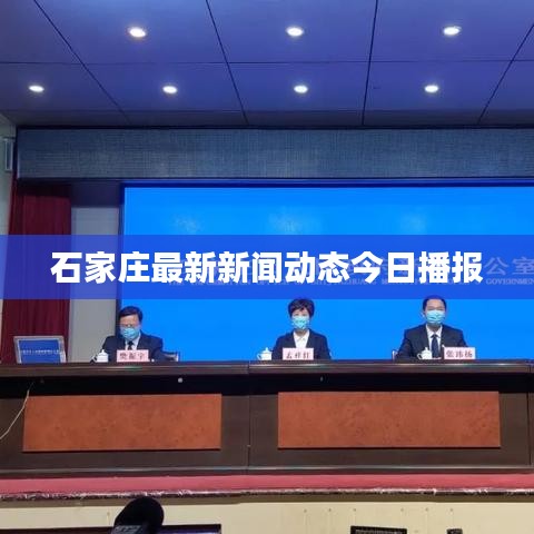 石家莊最新新聞動態今日播報