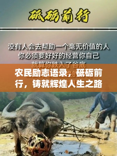 農民勵志語錄,砥礪前行,鑄就輝煌人生之路