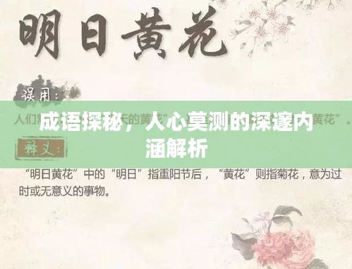成語探秘,人心莫測的深邃內(nèi)涵解析