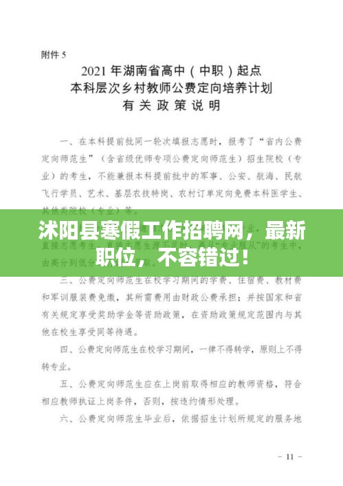 沭陽縣寒假工作招聘網,最新職位,不容錯過!