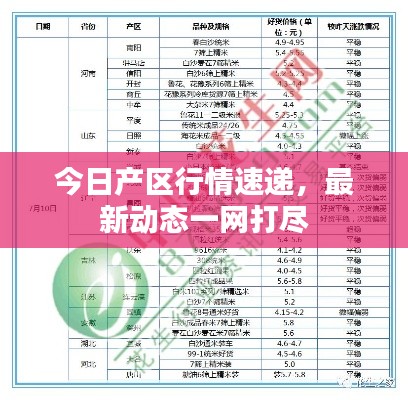 今日產區行情速遞,最新動態一網打盡