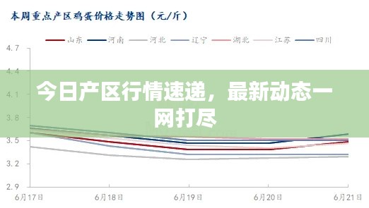 今日產區行情速遞,最新動態一網打盡