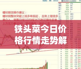 鐵頭菜今日價格行情走勢解析