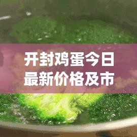 開封雞蛋今日最新價格及市場走勢與影響因素深度解析