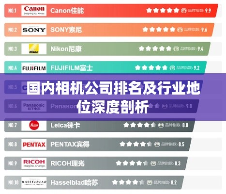 國內(nèi)相機公司排名及行業(yè)地位深度剖析
