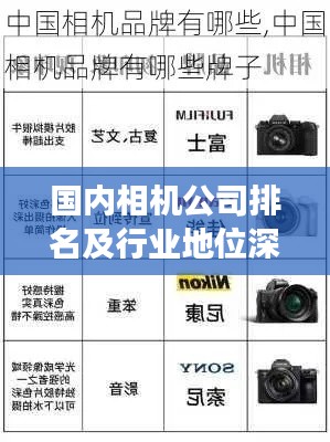 國內相機公司排名及行業地位深度剖析