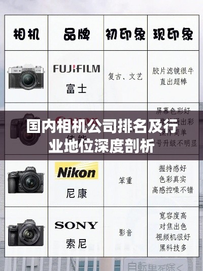 國內相機公司排名及行業地位深度剖析