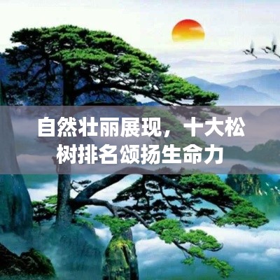 自然壯麗展現，十大松樹排名頌揚生命力