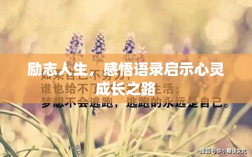 勵志人生,感悟語錄啟示心靈成長之路