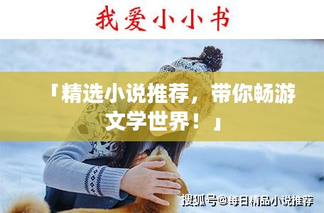 「精選小說(shuō)推薦,帶你暢游文學(xué)世界!」