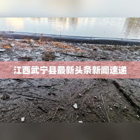 江西武寧縣最新頭條新聞速遞