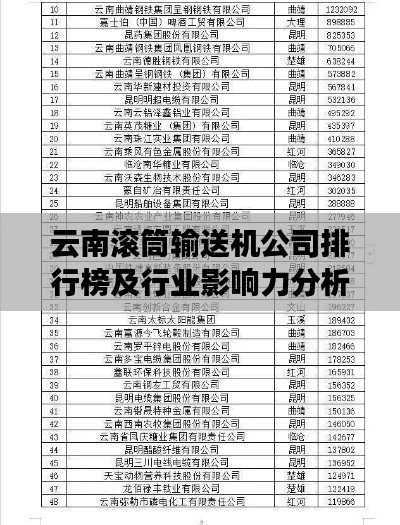 云南滾筒輸送機公司排行榜及行業影響力分析