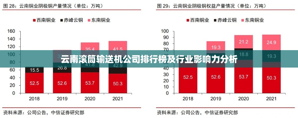 云南滾筒輸送機公司排行榜及行業影響力分析