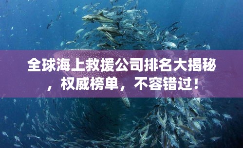 全球海上救援公司排名大揭秘,權威榜單,不容錯過!