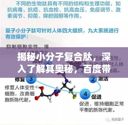 揭秘小分子復合肽,深入了解其奧秘,百度帶你洞悉真相!