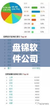 盤錦軟件公司穩(wěn)居榜首,揭秘其成功的奧秘