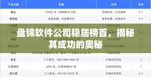 盤錦軟件公司穩(wěn)居榜首,揭秘其成功的奧秘