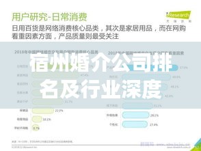 宿州婚介公司排名及行業深度剖析,洞悉婚戀市場趨勢