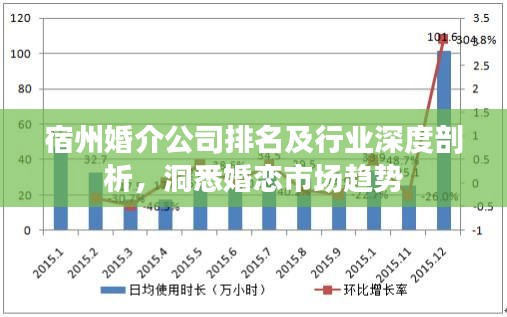 宿州婚介公司排名及行業深度剖析,洞悉婚戀市場趨勢