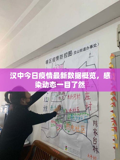 漢中今日疫情最新數據概覽,感染動態一目了然