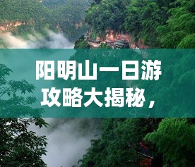 陽明山一日游攻略大揭秘,美景盡收眼底!