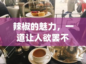 辣椒的魅力,一道讓人欲罷不能的美食探索之旅!