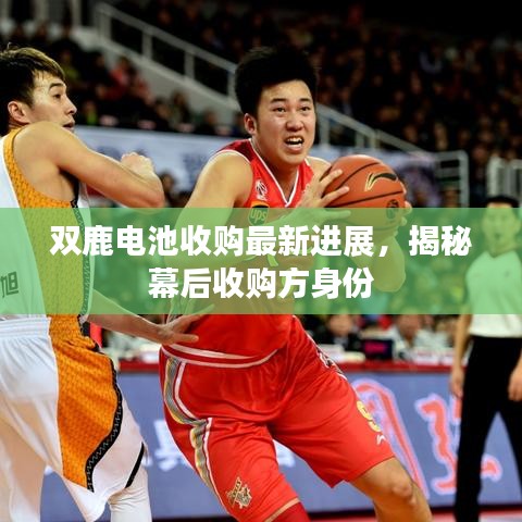雙鹿電池收購最新進(jìn)展,揭秘幕后收購方身份