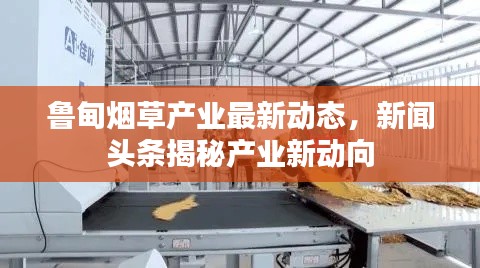 魯?shù)闊煵莓a(chǎn)業(yè)最新動(dòng)態(tài),新聞?lì)^條揭秘產(chǎn)業(yè)新動(dòng)向