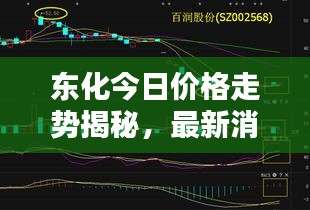 東化今日價格走勢揭秘,最新消息一覽