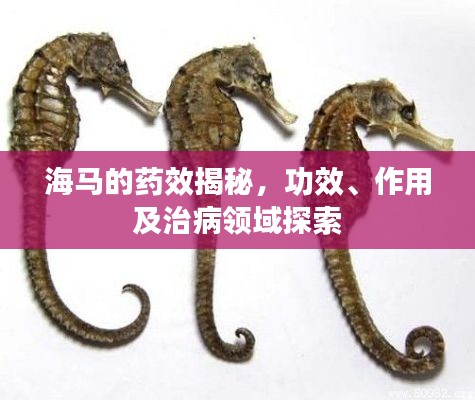 偷工減料 第2頁