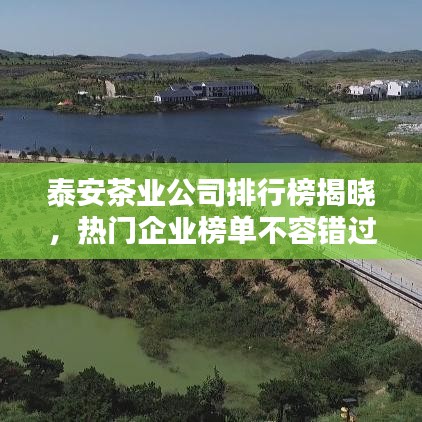 泰安茶業(yè)公司排行榜揭曉，熱門企業(yè)榜單不容錯過！