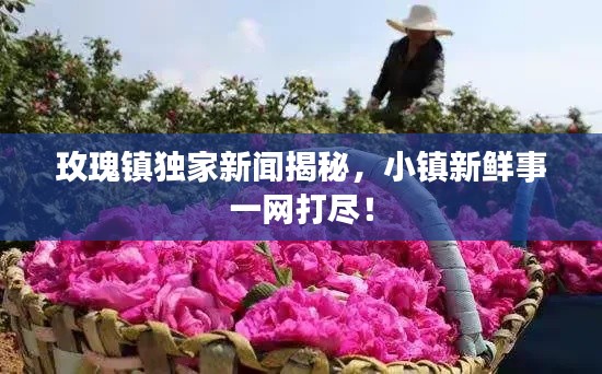 玫瑰鎮獨家新聞揭秘,小鎮新鮮事一網打盡!