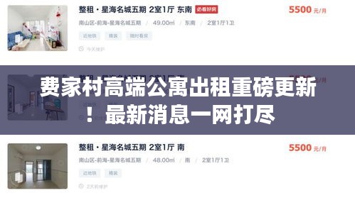 費家村高端公寓出租重磅更新!最新消息一網打盡